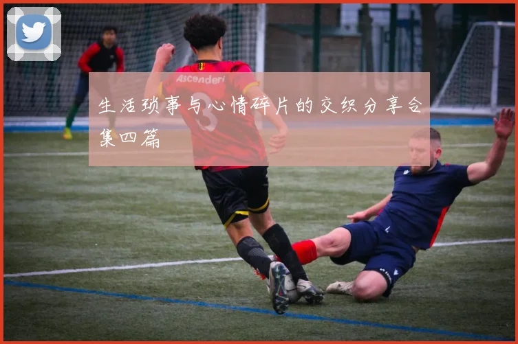 生活琐事与心情碎片的交织分享合集四篇