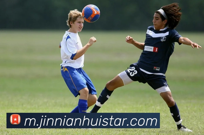 金年会平台生态图